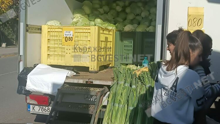 Производители от Пловдивско свалиха цената на зелето на Пазара в Кърджали,търсенето е слабо