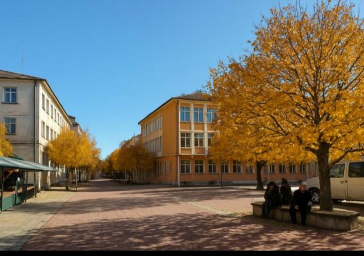 Граждани внесоха подписка в Общинския съвет-Смолян за премахване на опасни дървета