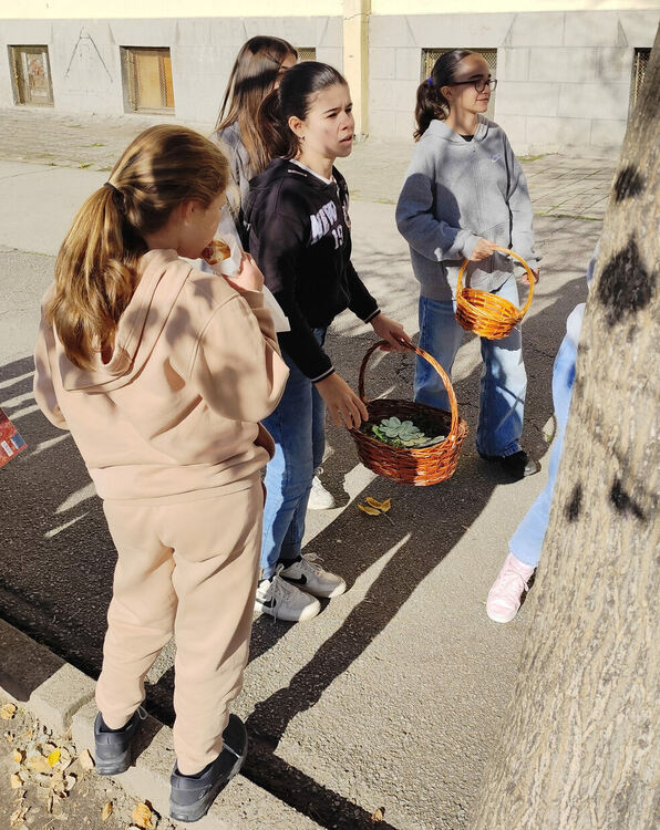 ОУ „Христо Смирненски“ с още беседи за толерантност като мярка срещу насилието и агресията
