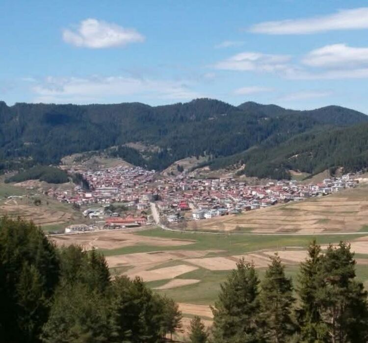 Кметът на Борино въведе строга забрана за свободно движещи се животни след катастрофа с жертва