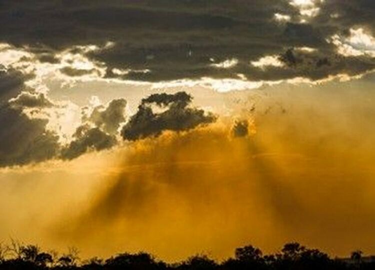  Сахарските бури носят различни вируси и бактерии