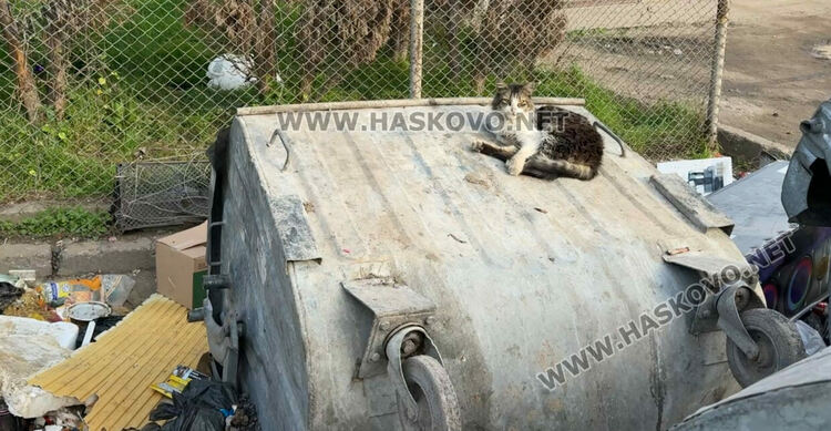 В „Република“ се жалват от мизерия от съкварталци, искат глоби за нерегламентирано изхвърляне на боклук