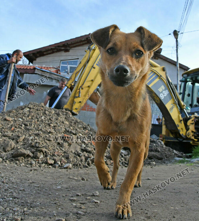 ВиК-Хасково прекъсва водата на длъжници в „Република“, „бедните“ искат помощ от държавата