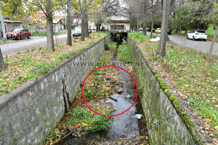 Възстановиха потрошена беседка в хасковски парк