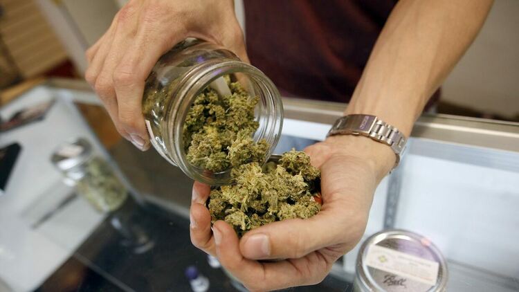 Задържаха мъж с 50 грама марихуана и оборудване за отглеждане на дрога