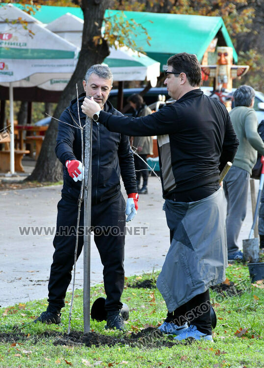 Ротарианската гора на Кенана порасна с 47 дъба