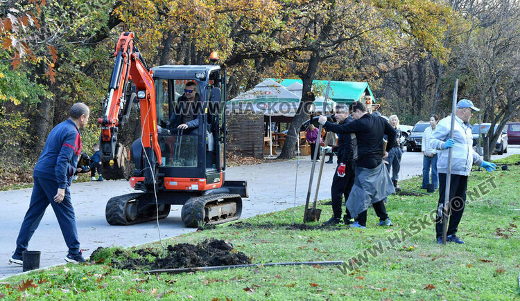 Ротарианската гора на Кенана порасна с 47 дъба