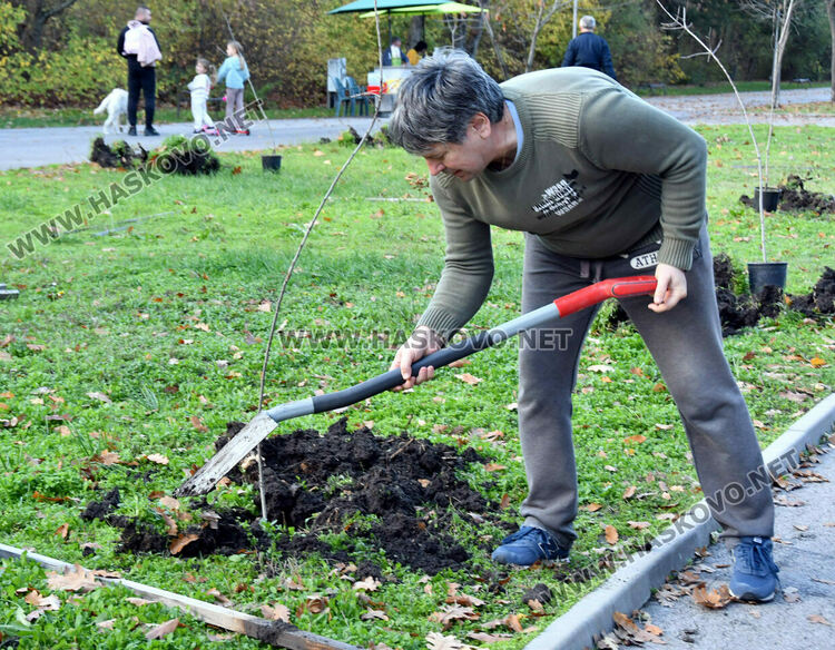 Ротарианската гора на Кенана порасна с 47 дъба