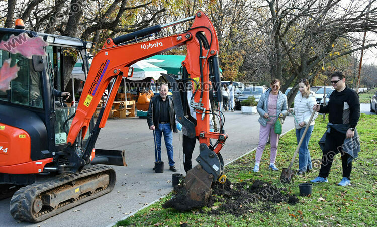 Ротарианската гора на Кенана порасна с 47 дъба