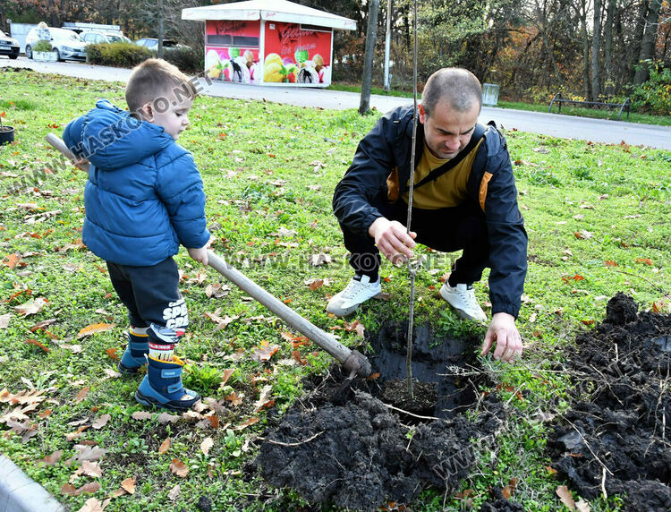 Ротарианската гора на Кенана порасна с 47 дъба