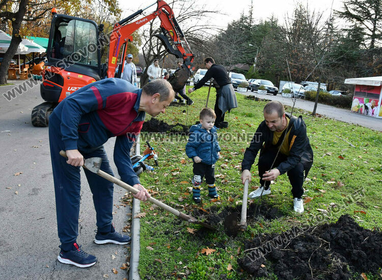 Ротарианската гора на Кенана порасна с 47 дъба