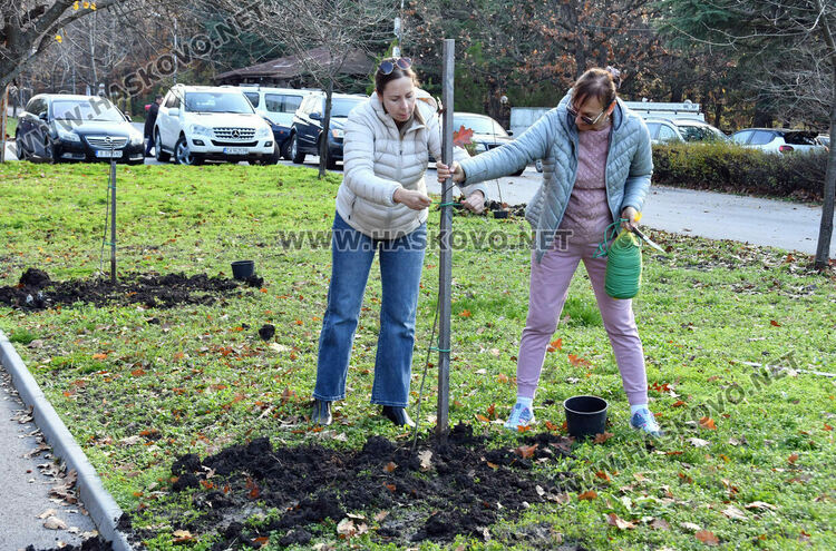 Ротарианската гора на Кенана порасна с 47 дъба