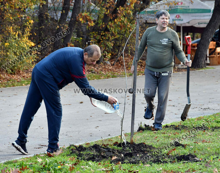 Ротарианската гора на Кенана порасна с 47 дъба