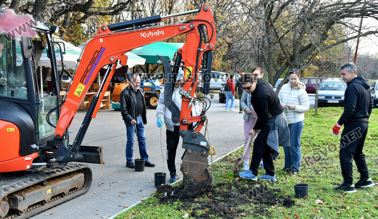 Ротарианската гора на Кенана порасна с 47 дъба