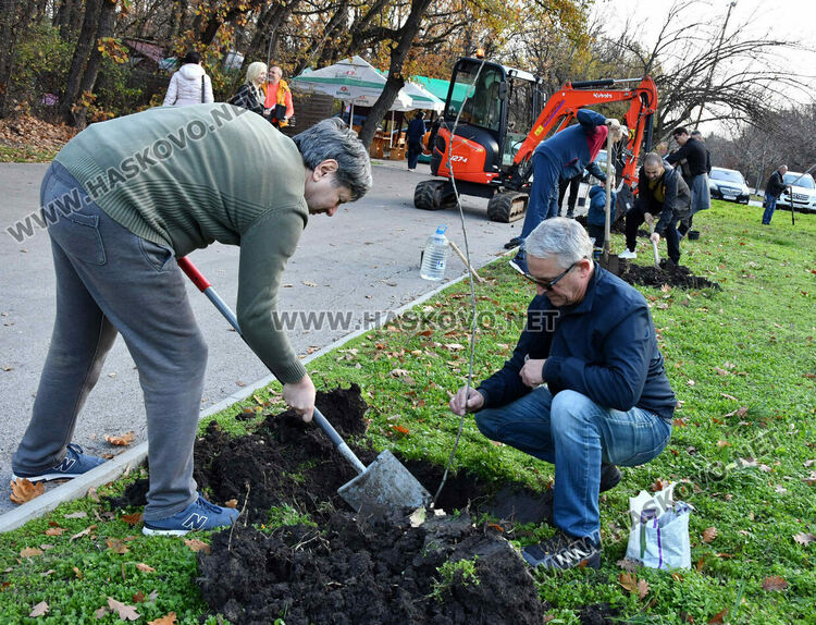 Ротарианската гора на Кенана порасна с 47 дъба