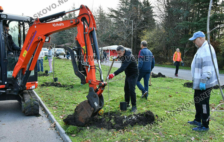 Ротарианската гора на Кенана порасна с 47 дъба