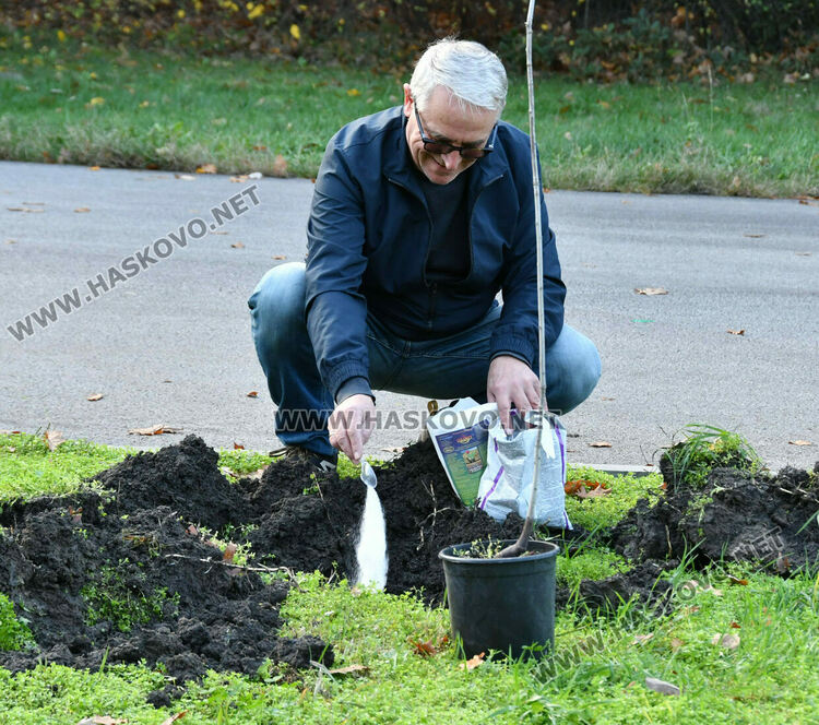 Ротарианската гора на Кенана порасна с 47 дъба