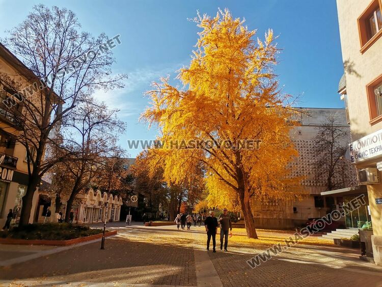 Слънчево, но по-студено време в понеделник