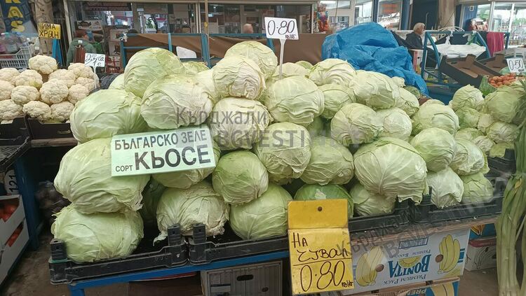 Търговията с прясно зеле за зимнина на Пазара  е „пълен резил“, кърджалийци вече предпочитат готово кисело зеле