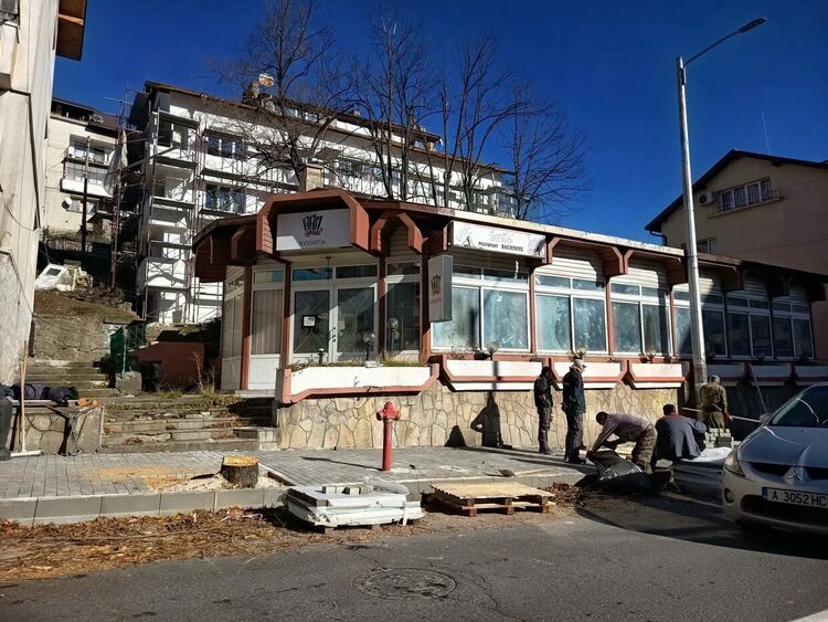 Кметът Николай Мелемов: „Премахването на дърветата по бул. ‘България’ е наложително за безопасността и модернизацията на града“