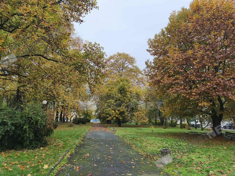 Слънчево и тихо време днес в Кърджали