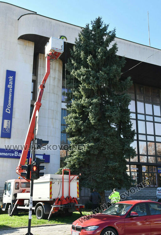 Коледният дух вече е в Хасково, украсяват елхата пред Бизнесцентъра
