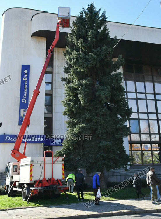 Коледният дух вече е в Хасково, украсяват елхата пред Бизнесцентъра
