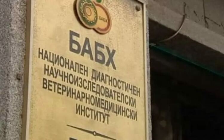 БАБХ и БАИ са с нови шефове