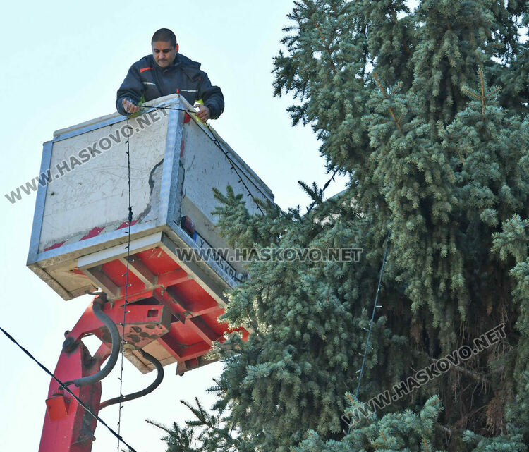 Коледният дух вече е в Хасково, украсяват елхата пред Бизнесцентъра
