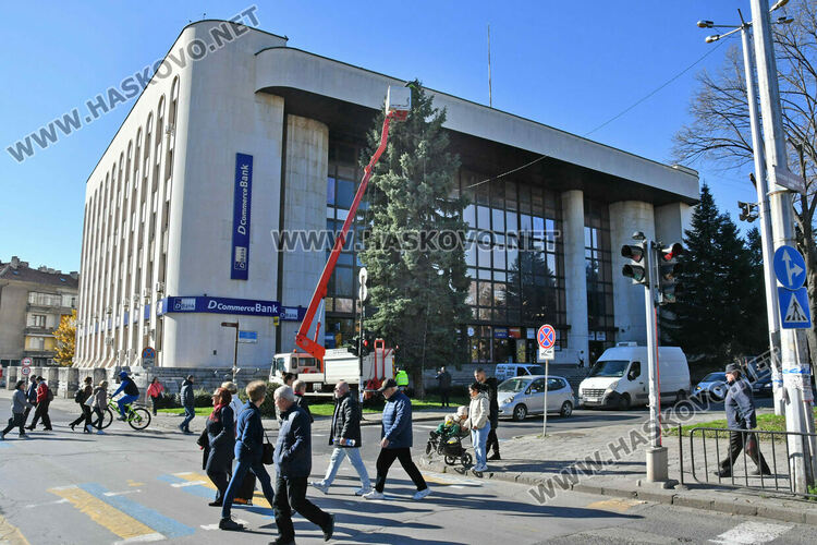 Коледният дух вече е в Хасково, украсяват елхата пред Бизнесцентъра