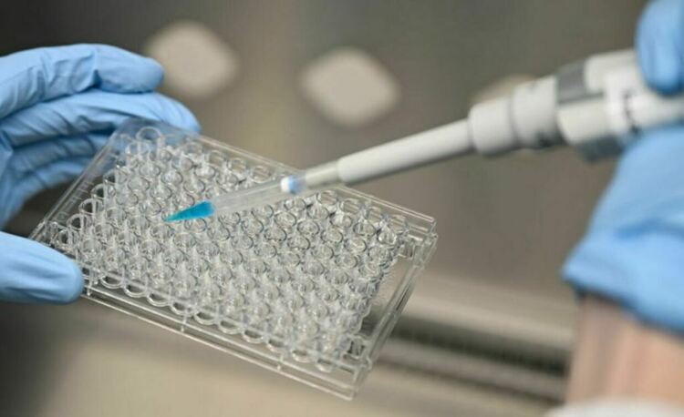 Резултатите от изследването са публикувани в списание Nature Aging