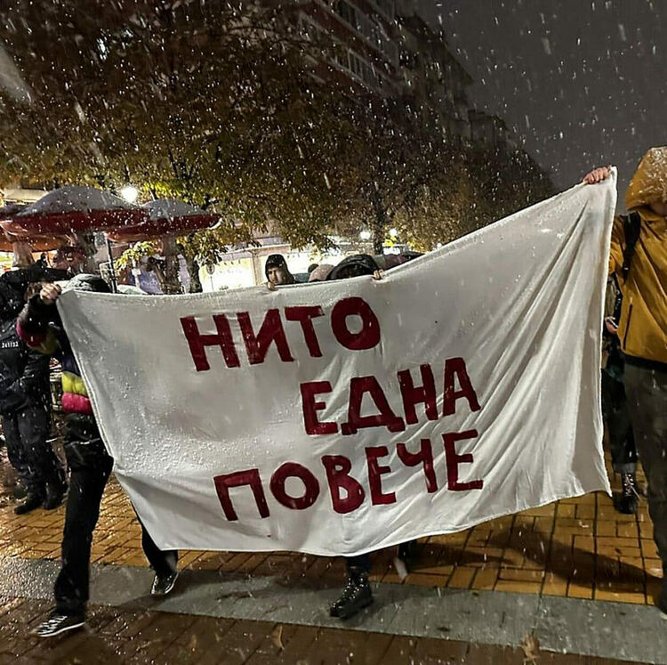 Жертвахме жените, за да не говорим за „джендъри“. 22 убити за година – колко още?