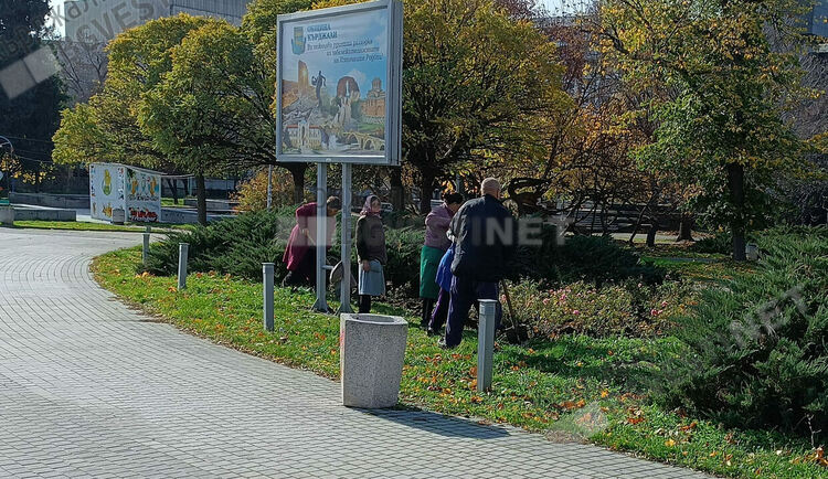 Засаждат есенно-зимни цветя в градинките в центъра на Кърджали,загърлят розите