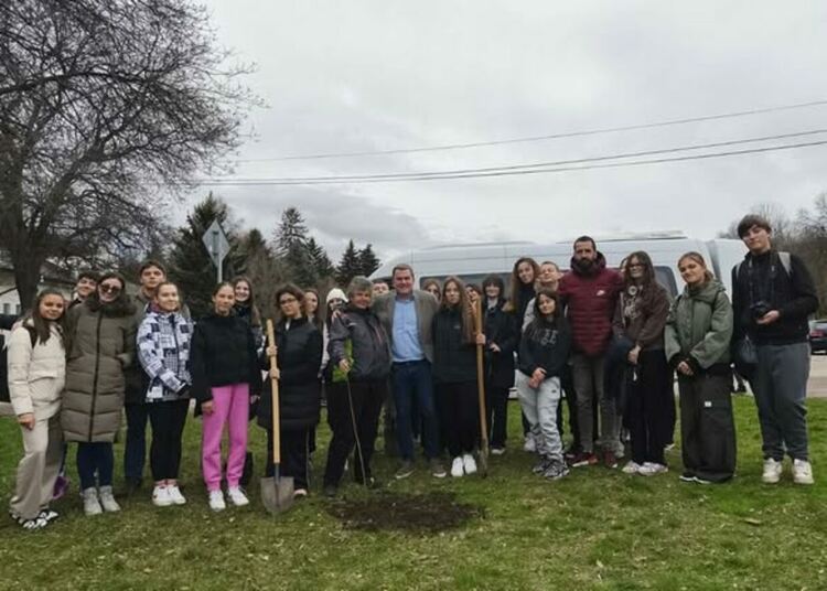 Тридесет липи бяха засадени в централната част на Перник