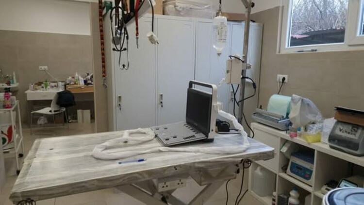 В общинския приют за безстопанствени кучета вече работи новата, напълно оборудвана амбулатория, изградена в изцяло нова сграда