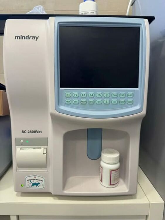 В общинския приют за безстопанствени кучета вече работи новата, напълно оборудвана амбулатория, изградена в изцяло нова сграда