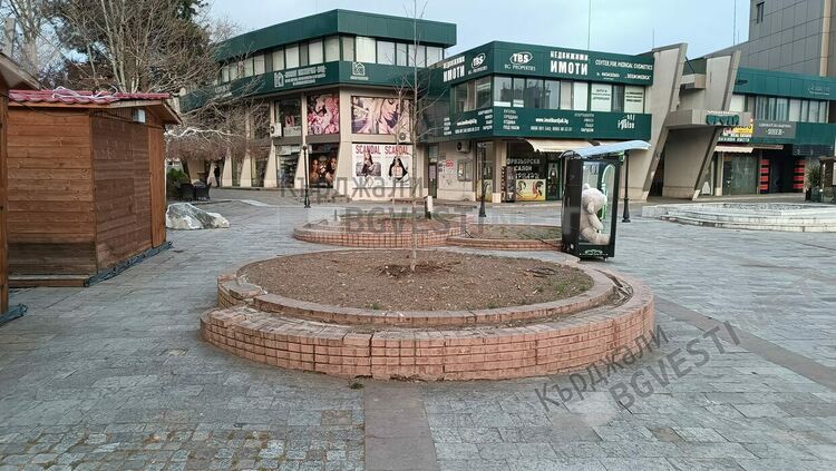 Засаждат дръвчета в Кърджали през декември,подновяват отсечените при ремонтите