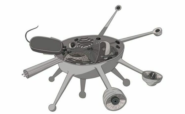 Илюстрация на напречно сечение на клетка Solarion.