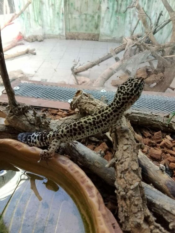 Снимки: Агенция „Митници“