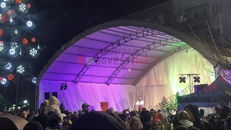 Грейнаха светлините на най-голямото живо Коледно дърво в Европа