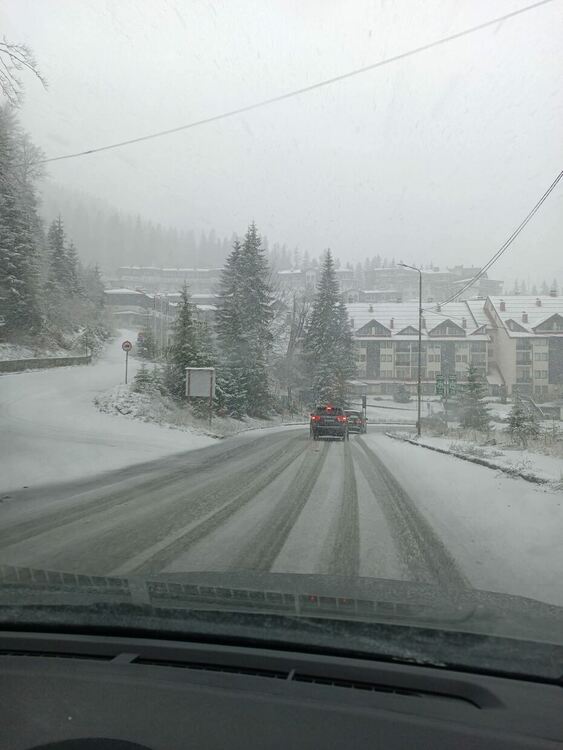 Снимка: Костадин Коджабашев 