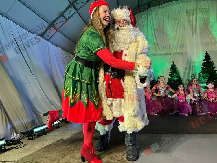 Грейнаха светлините на най-голямото живо Коледно дърво в Европа