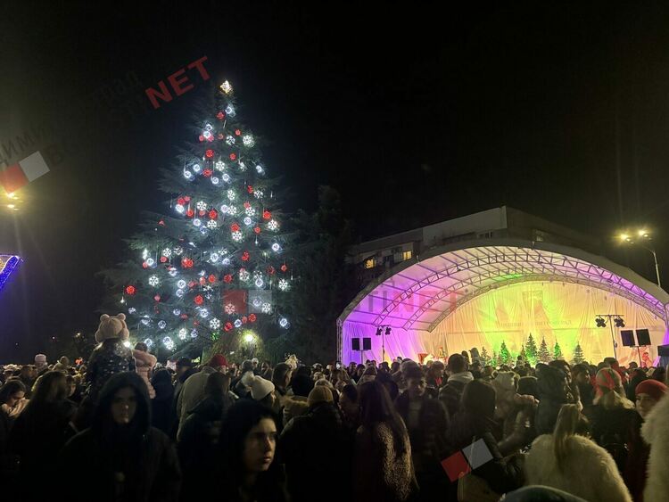 Грейнаха светлините на най-голямото живо Коледно дърво в Европа
