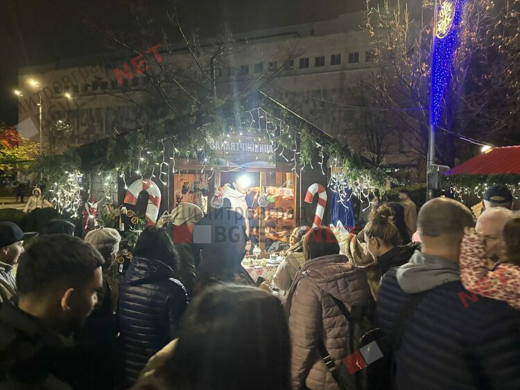 Грейнаха светлините на най-голямото живо Коледно дърво в Европа