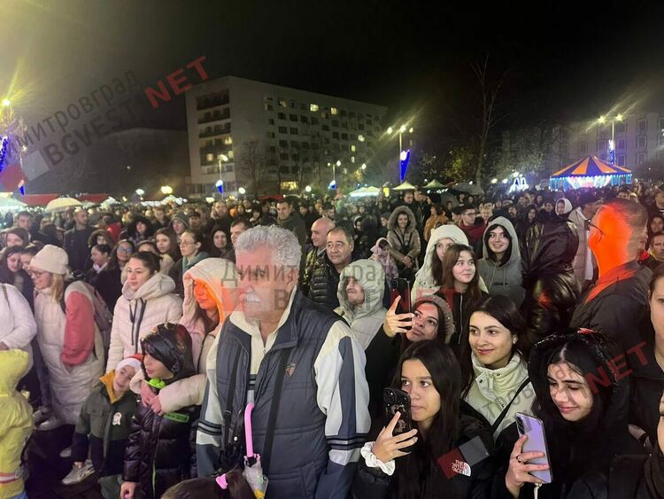 Грейнаха светлините на най-голямото живо Коледно дърво в Европа