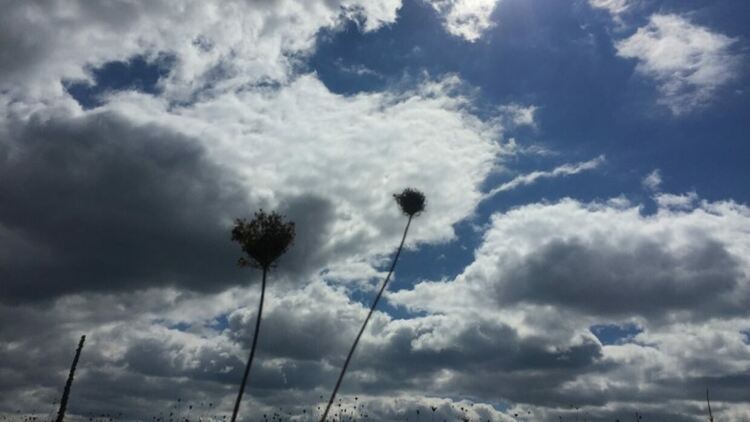 Предимно облачна неделя