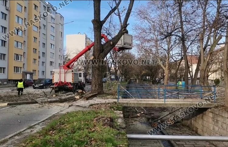 Затвориха бул. „Илинден“ заради резитба на тополи