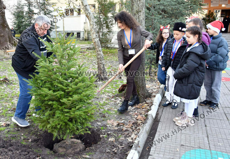 Тържествено запалиха светлините на елхата в ОУ „Христо Смирненски“ 