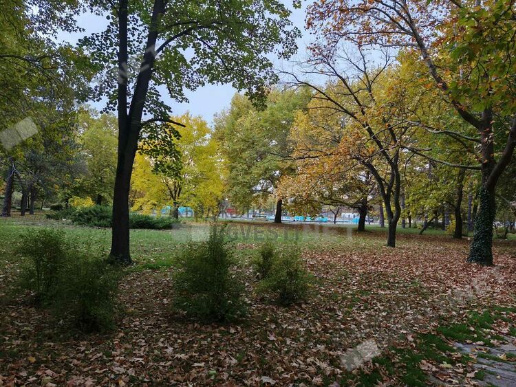 Предимно слънчево и тихо време днес в Кърджали