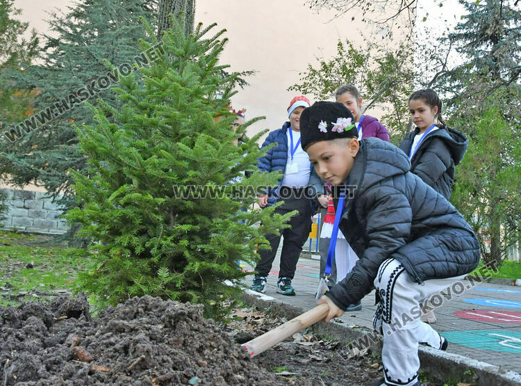 Тържествено запалиха светлините на елхата в ОУ „Христо Смирненски“ 